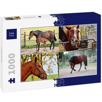 Lais Puzzle Collage Pferde 1000 Teile Lais Puzzle Collage Pferde 1000 Teile von Lais Systeme