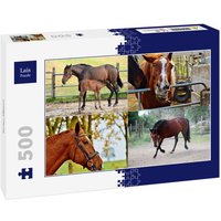 Lais Puzzle Collage Pferde 500 Teile Lais Puzzle Collage Pferde 500 Teile von Lais Systeme