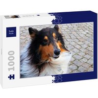 Lais Puzzle Collie 1000 Teile von Lais Systeme