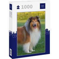 Lais Puzzle Collie 1000 Teile Lais Puzzle Collie 1000 Teile von Lais Systeme