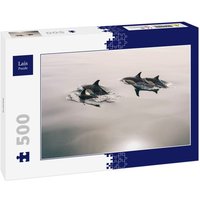 Lais Puzzle Delfine 500 Teile Lais Puzzle Delfine 500 Teile von Lais Systeme