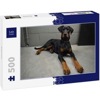 Lais Puzzle Dobermann 500 Teile von Lais Systeme