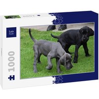 Lais Puzzle Doggen 1000 Teile Lais Puzzle Doggen 1000 Teile von Lais Systeme