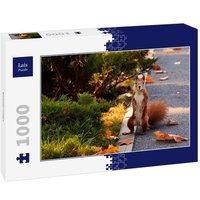 Lais Puzzle Eichhörnchen 1000 Teile von Lais Systeme