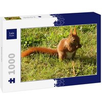 Lais Puzzle Eichhörnchen 1000 Teile von Lais Systeme