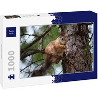 Lais Puzzle Eichhörnchen 1000 Teile von Lais Systeme