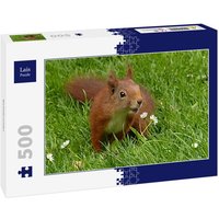 Lais Puzzle Eichhörnchen 500 Teile von Lais Systeme