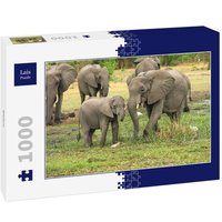 Lais Puzzle Elefant 1000 Teile von Lais Systeme