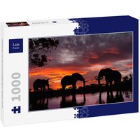 Lais Puzzle Elefanten im Sonnenuntergang an einem Fluss 1000 Teile von Lais Systeme
