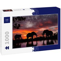 Lais Puzzle Elefanten im Sonnenuntergang an einem Fluss 1000 Teile Lais Puzzle Elefanten im Sonnenuntergang an einem Fluss 1000 Teile von Lais Systeme