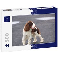 Lais Puzzle English Springer Spaniel 500 Teile Lais Puzzle English Springer Spaniel 500 Teile von Lais Systeme