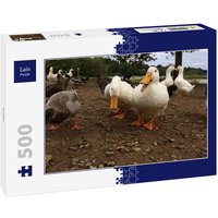 Lais Puzzle Enten 500 Teile von Lais Systeme
