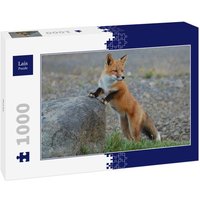 Lais Puzzle Fuchs 1000 Teile Lais Puzzle Fuchs 1000 Teile von Lais Systeme