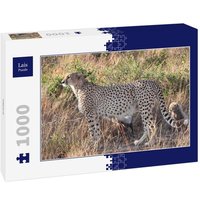 Lais Puzzle Gepard 1000 Teile Lais Puzzle Gepard 1000 Teile von Lais Systeme