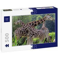 Lais Puzzle Giraffen 500 Teile von Lais Systeme