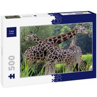 Lais Puzzle Giraffen 500 Teile von Lais Systeme