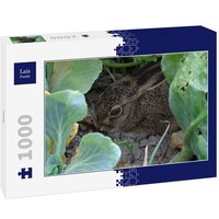 Lais Puzzle Hase 1000 Teile von Lais Systeme