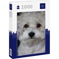 Lais Puzzle Havaneser 1000 Teile von Lais Systeme