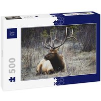 Lais Puzzle Hirsch 500 Teile Lais Puzzle Hirsch 500 Teile von Lais Systeme