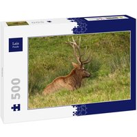 Lais Puzzle Hirsch 500 Teile Lais Puzzle Hirsch 500 Teile von Lais Systeme