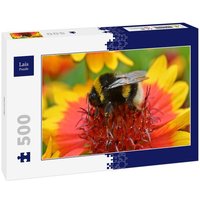 Lais Puzzle Hummel 500 Teile Lais Puzzle Hummel 500 Teile von Lais Systeme