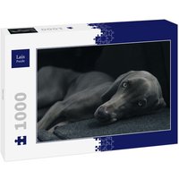 Lais Puzzle Hund 1000 Teile von Lais Systeme
