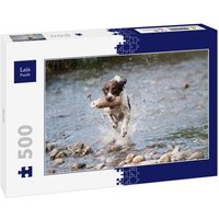 Lais Puzzle Hund 500 Teile von Lais Systeme