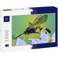 Lais Puzzle Insekt 1000 Teile von Lais Systeme
