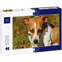 Lais Puzzle Jack Russell 500 Teile von Lais Systeme