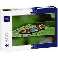 Lais Puzzle Käfer 500 Teile Lais Puzzle Käfer 500 Teile von Lais Systeme