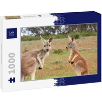 Lais Puzzle Känguru Australien 1000 Teile von Lais Systeme
