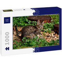 Lais Puzzle Katzen 1000 Teile von Lais Systeme