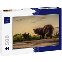 Lais Puzzle Katzen 500 Teile Lais Puzzle Katzen 500 Teile von Lais Systeme