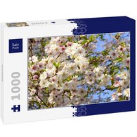 Lais Puzzle Kirschblüte 1000 Teile Lais Puzzle Kirschblüte 1000 Teile von Lais Systeme