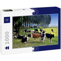 Lais Puzzle Kühe auf einer Wiese 1000 Teile Lais Puzzle Kühe auf einer Wiese 1000 Teile von Lais Systeme