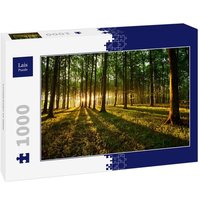 Lais Puzzle Lichtstrahlen im Wald 1000 Teile Lais Puzzle Lichtstrahlen im Wald 1000 Teile von Lais Systeme