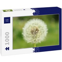 Lais Puzzle Löwenzahn 1000 Teile Lais Puzzle Löwenzahn 1000 Teile von Lais Systeme