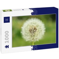 Lais Puzzle Löwenzahn 1000 Teile von Lais Systeme