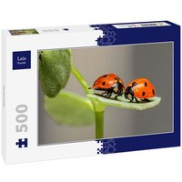 Lais Puzzle Marienkäfer 500 Teile Lais Puzzle Marienkäfer 500 Teile von Lais Systeme