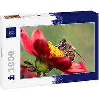 Lais Puzzle Mistfliege 1000 Teile Lais Puzzle Mistfliege 1000 Teile von Lais Systeme