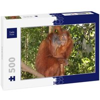 Lais Puzzle Orang Utans 500 Teile von Lais Systeme