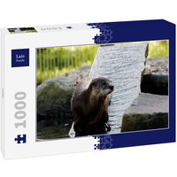 Lais Puzzle Otter 1000 Teile von Lais Systeme
