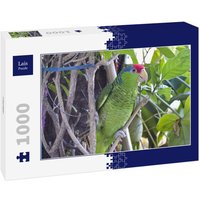 Lais Puzzle Papagei 1000 Teile von Lais Systeme