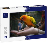 Lais Puzzle Papagei 500 Teile Lais Puzzle Papagei 500 Teile von Lais Systeme