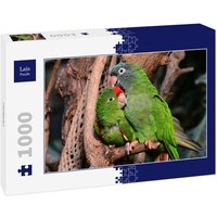 Lais Puzzle Papageien 1000 Teile von Lais Systeme