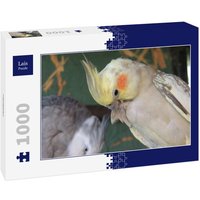 Lais Puzzle Papageien 1000 Teile von Lais Systeme