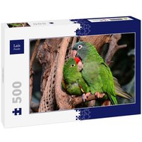 Lais Puzzle Papageien 500 Teile von Lais Systeme