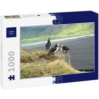 Lais Puzzle Papageientaucher 1000 Teile Lais Puzzle Papageientaucher 1000 Teile von Lais Systeme