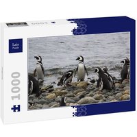 Lais Puzzle Pinguine 1000 Teile von Lais Systeme