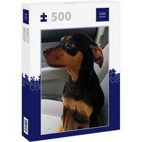 Lais Puzzle Pinscher 500 Teile von Lais Systeme